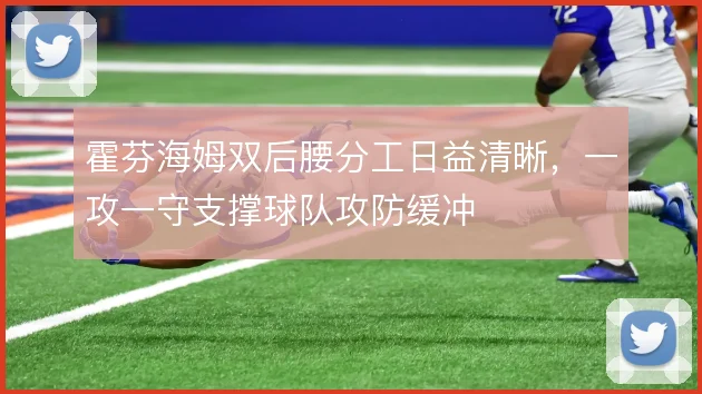 霍芬海姆双后腰分工日益清晰，一攻一守支撑球队攻防缓冲