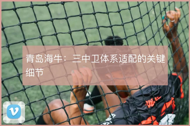 青岛海牛：三中卫体系适配的关键细节