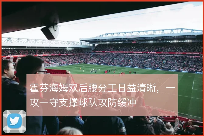 霍芬海姆双后腰分工日益清晰，一攻一守支撑球队攻防缓冲